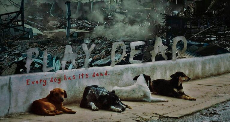 Play Dead: Un corto de Zombie protagonizado por perros